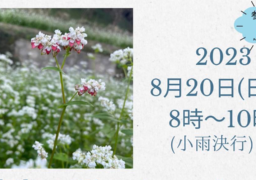 山田の棚田で蕎麦の種まきイベントを開催します