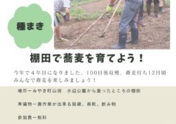 蕎麦播種体験の開催